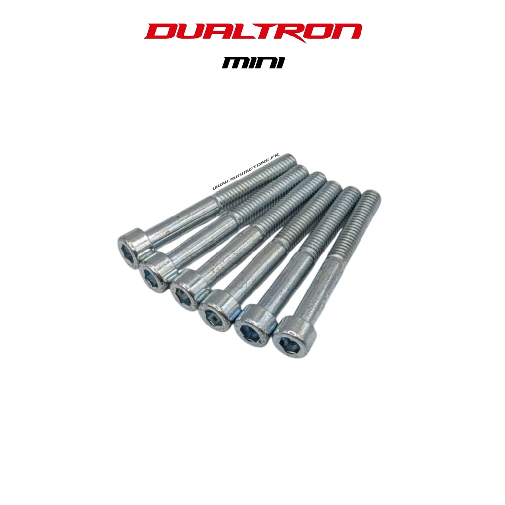 DUALTRON MINI | VIS COLONNE DE DIRECTION (X6)