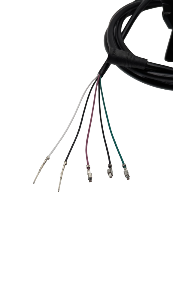 DUALTRON THUNDER 3 2023 |  ACCELERATEUR 5 PINS