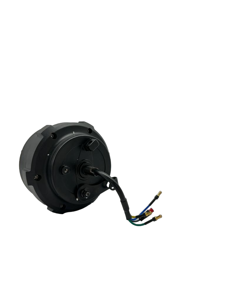 DUALTRON TOGO | MOTEUR  48V