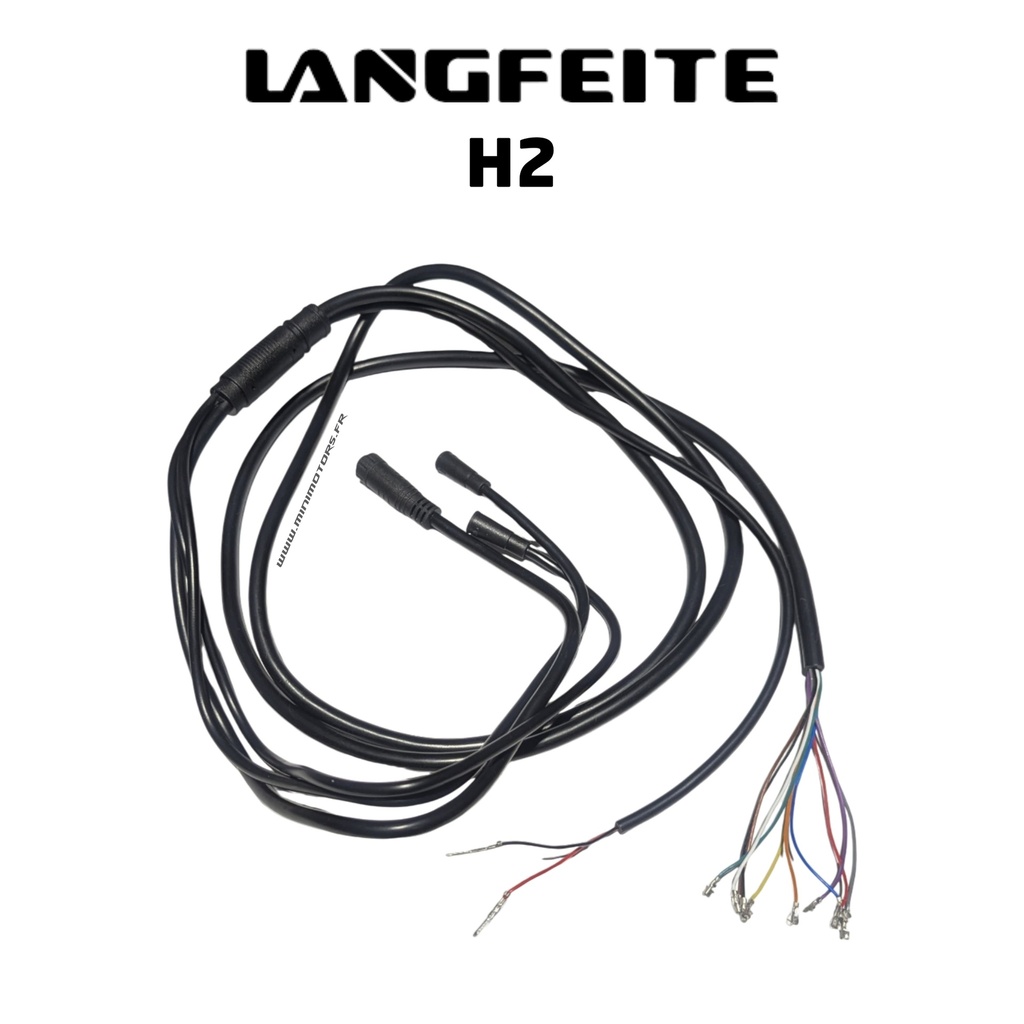 LANGFEITE H2 DUAL | PRINCIPAL CABLE