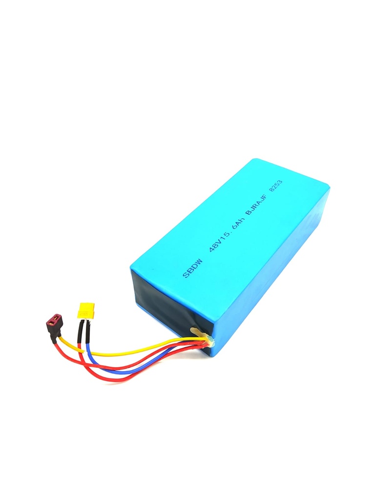 FUTECHER GUN | BATTERIE 48V 15,6AH RECONDITIONNEE